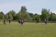 OTFL Gallery Image
